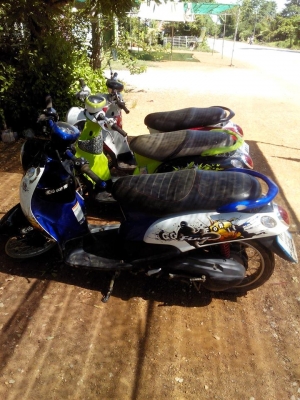 ฟีโน่ราคาเหมา สามคัน