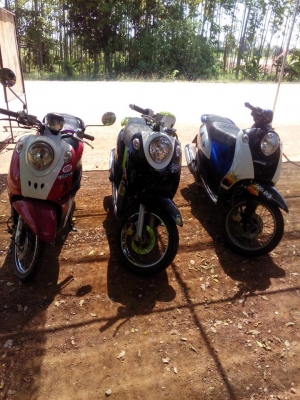 ฟีโน่ราคาเหมา สามคัน