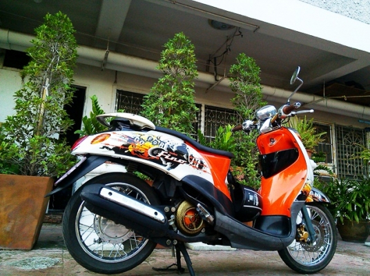 Fino ปี51 ส้มขาว ทะเบียน กท 177 เดิมๆ  เครื่องดี