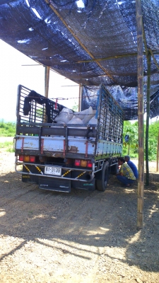 หกล้อ ISUZU NPR 120 แรงม้า รถปี 39 รถสวย กระบะยาว 4.5 เมตร ราคาต่อรองได้.