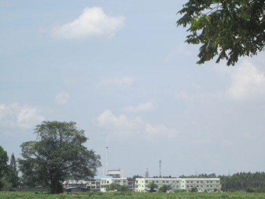 ขายที่ดินใกล้นิคม 304 ขายที่ดินใกล้นิคม 304