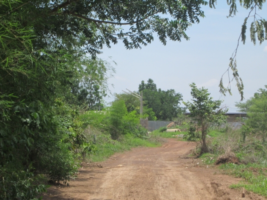 ขายที่ดินใกล้นิคม 304 ขายที่ดินใกล้นิคม 304