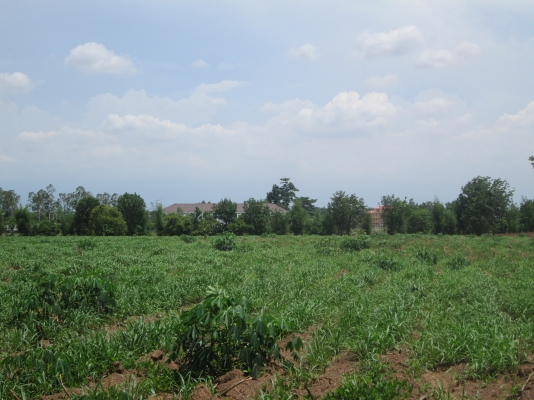 ขายที่ดินใกล้นิคม 304 ขายที่ดินใกล้นิคม 304