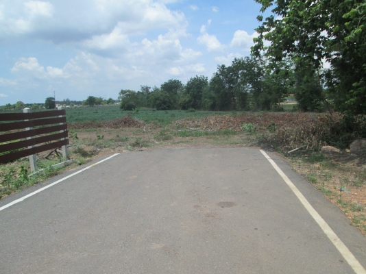 ขายที่ดินใกล้นิคม 304 ขายที่ดินใกล้นิคม 304