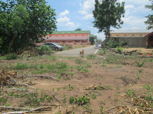 ขายที่ดินใกล้นิคม 304