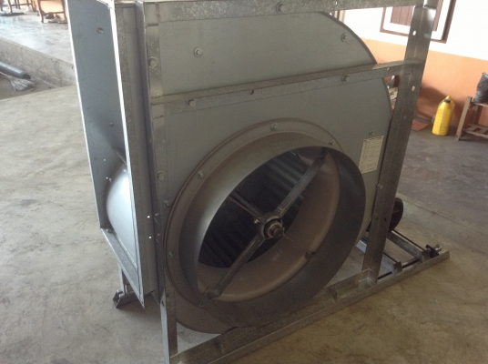 ขายโบวเวอร์ Nicotra