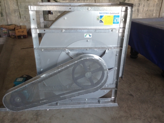 ขายโบวเวอร์ Nicotra