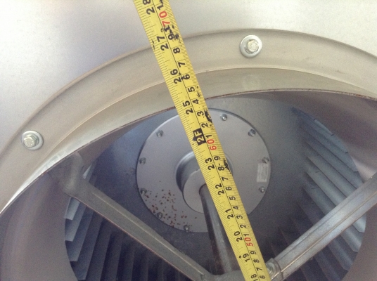 ขายโบวเวอร์ Nicotra