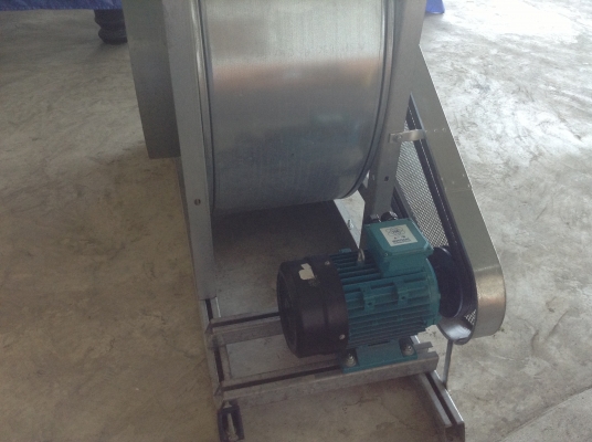 ขายโบวเวอร์ Nicotra