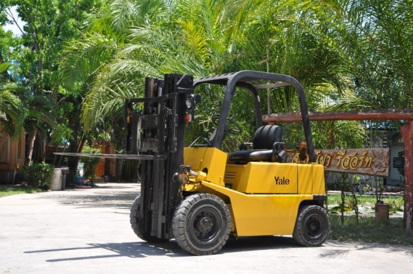 ขายFORKLIFT YALE2ตัน เสาทรูฟรี่ 4เมตร(ดีเซล) สภาพสวยเดิมจากญี่ปุ่นยังไม่เคยใช้านในไทย 145,000เท่านั้น!!!