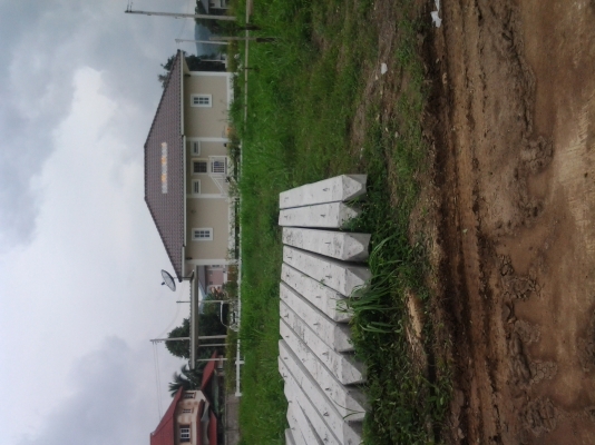 ขายปั่นจั่นตอกเสาเข็มอู่สิงโตตุ่ม 4 ตัน วิน 28 สภาพพร้อมใช้ 12 เมตรปั้นจั่นสาน