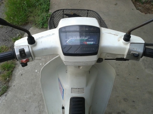 ดรีมตูดเป็ด