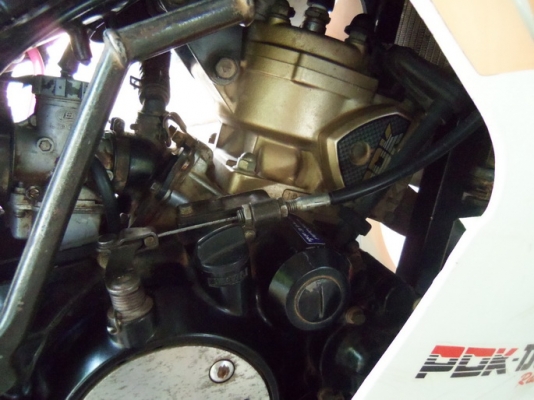 ขายเซอร์ปีโก้ปี40เดิม-13500....