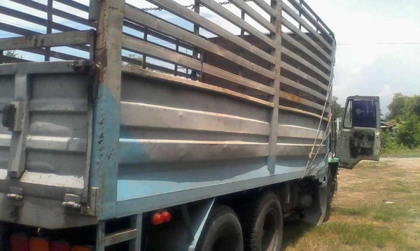 (รถมาถูกก็ขายถูก)10ล้อเพลาเดียวISUZU 175 แรง รถเดิมๆกะบะคอกเหล็ก รถพร้อมใช้..