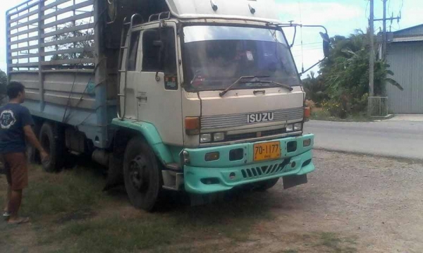 (รถมาถูกก็ขายถูก)10ล้อเพลาเดียวISUZU 175 แรง รถเดิมๆกะบะคอกเหล็ก รถพร้อมใช้..
