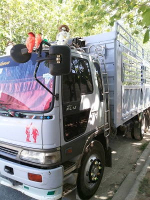 ขายสิบล้อมือสอง