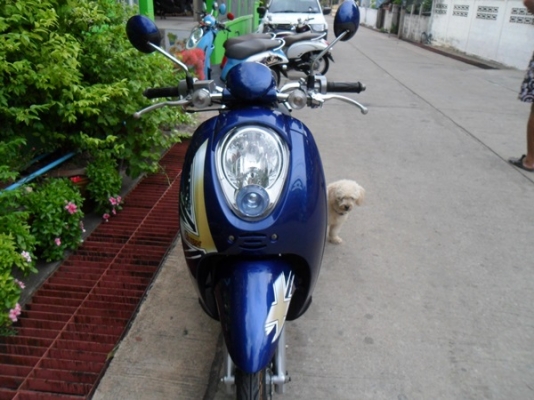 ขายถูกสกูปปี้ไอ เครื่องแน่นมากสภาพเอี่ยมชุดสีไม่มีรอยเอกสารพร้อมโอน