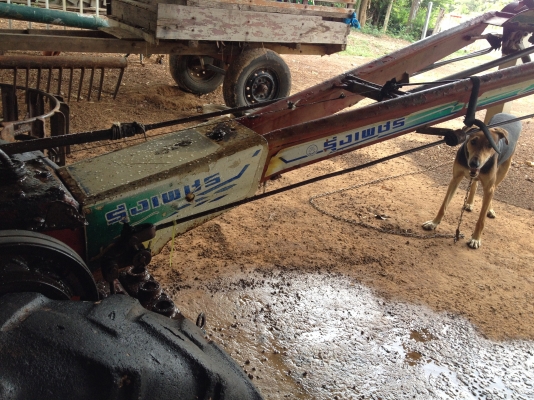 ขายรถไถนาเดินตาม KOBOTA ET 110 ตัวนูน อุปกรณ์ครบ ขายรถไถนาเดินตาม KOBOTA ET 110 ตัวนูน อุปกรณ์ครบ