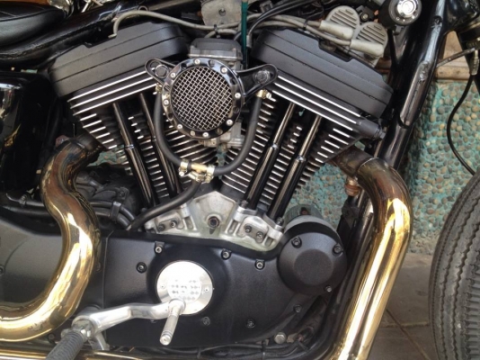 Sportster 1200cc ปี 2002