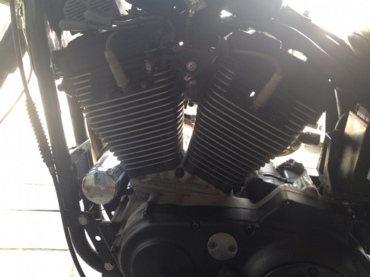 Sportster 1200cc ปี 2002