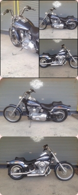 Harley Davidson Softail custom ปี 2003
