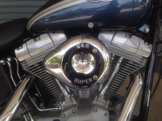 Harley Davidson Softail custom ปี 2003