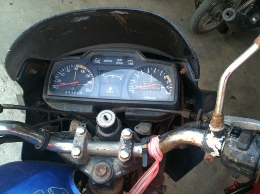 ขายGto สวยๆ 6000