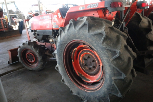 ขายถูก เอาไปแบ่งกันใช้