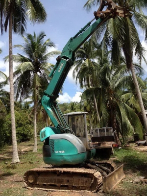 ขายแบคโฮ คีบไม้