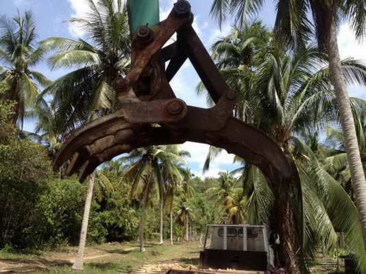 ขายแบคโฮ คีบไม้