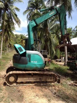 ขายแบคโฮ คีบไม้