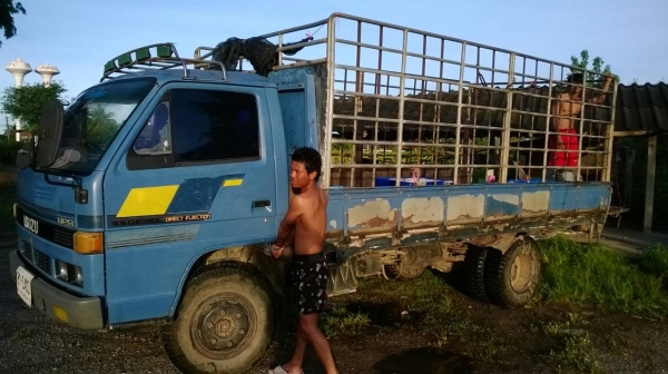 isuzu 115 แรงพร้อมใช้งาน เจ้าของขายเองคับ เอกสารครบ ปรับลดราคาแล้วคับ สนใจติดต่อ 0918070020 เอ็กซ์ ครับ