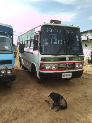 ขายรถบัสฮีโน่km..เครื่องwo4dปั้มลม เบรคทิฟฟี่ พวงมาลัยเพาว์เวอร์ สแตนเลสทั้งคันรถประมูลมาจากโรงน้ำตาล เอกสาระร้อมโอนยางดี6เส้น ขายรถบัสฮีโน่km..เครื่องwo4dปั้มลม เบรคทิฟฟี่ พวงมาลัยเพาว์เวอร์ สแตนเลสทั้งคันรถประมูลมาจากโรงน้ำตาล เอกสาระร้อมโอนยางดี6เส้น