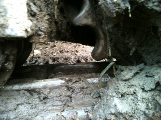 ขายดาวน์