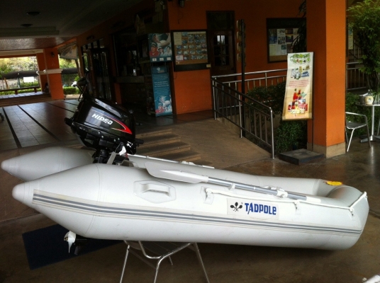 ขายเรือยางกู้ภัย เกาหลีแท้ TADPOLE ขนาด 3.3 เมตร หนา 1.2 มิล ขาย28000- 35000 ของใหม่ครับ
