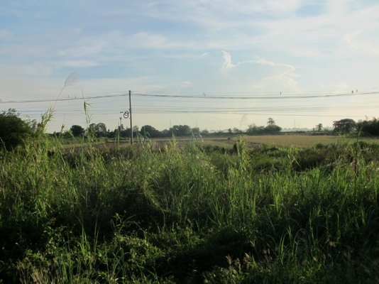 ขายที่ดินติดสายเอเซีย 3 ไร่