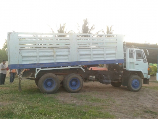 นางฟ้า195 โค้ด R