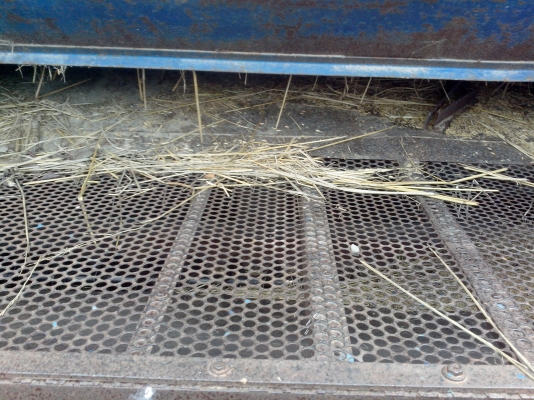 ขาย ตู้นวดข้าว 6 ฟุต ขาย ตู้นวดข้าว 6 ฟุต