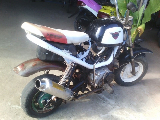 ขายชิปปี้ เอาไปทำหล่ออีกนิดสวยๆ ติดขี่ได้เครื่อง 125 ขายถูก 4500