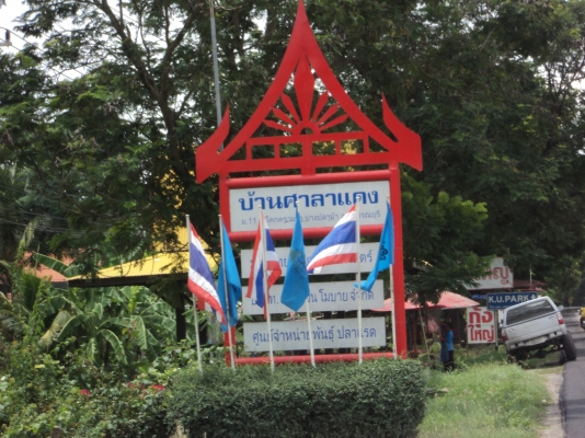 ขายที่ 60  ตารางวา สนใจโทร.081-005-8785