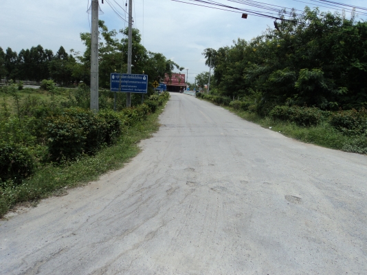 ขายที่ 60  ตารางวา สนใจโทร.081-005-8785