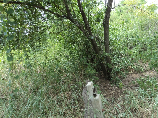 ขายที่ 60  ตารางวา สนใจโทร.081-005-8785