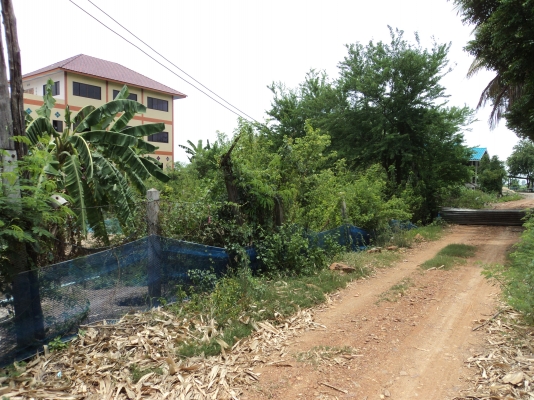 ขายที่ 60  ตารางวา สนใจโทร.081-005-8785