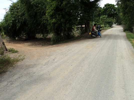 ขายที่ 60  ตารางวา สนใจโทร.081-005-8785