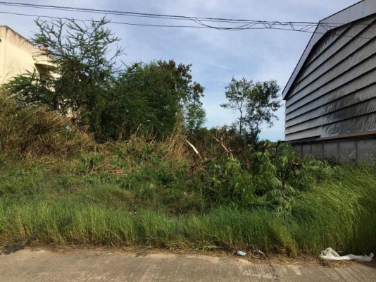 ขายที่ดิน 201 ตารางวา ถนนพระราม2 ขายที่ดิน 201 ตารางวา ถนนพระราม2