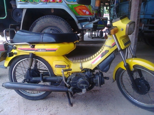 ขายเบล 80 มีทะเบียน