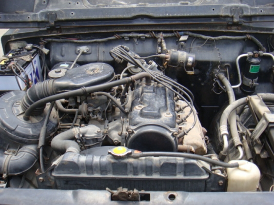 ขายแล้ว ขายแล้ว