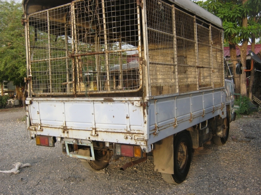 ต้องการขาย 4 ล้อ อีซูซุ 88 แท้ห้าง เกียร์สั้นสภาพพร้อมใช้ เครื่องฟิตดีไม่มีเยิ้ม สภาพสวย