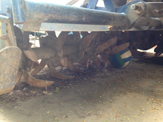 ขายด่วน