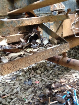 รถฮีโน่ 10 ล้อ ท้ายลาด KT925 /  168 แรงม้า.   สนใจติดต่อ 081 - 6079515